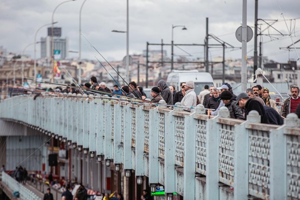 Ours en rose : un cadeau inoubliable pour la saint-valentin